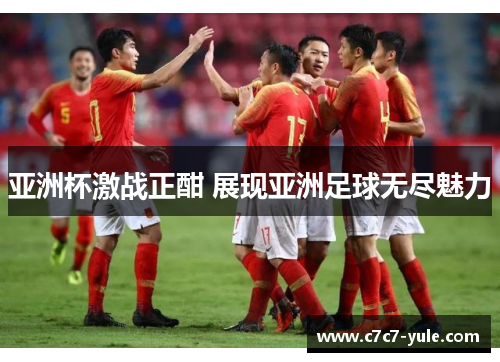 亚洲杯激战正酣 展现亚洲足球无尽魅力