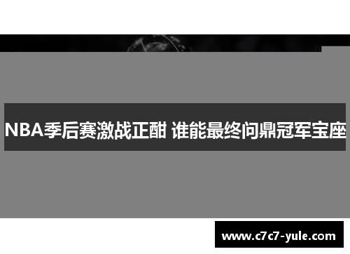 NBA季后赛激战正酣 谁能最终问鼎冠军宝座